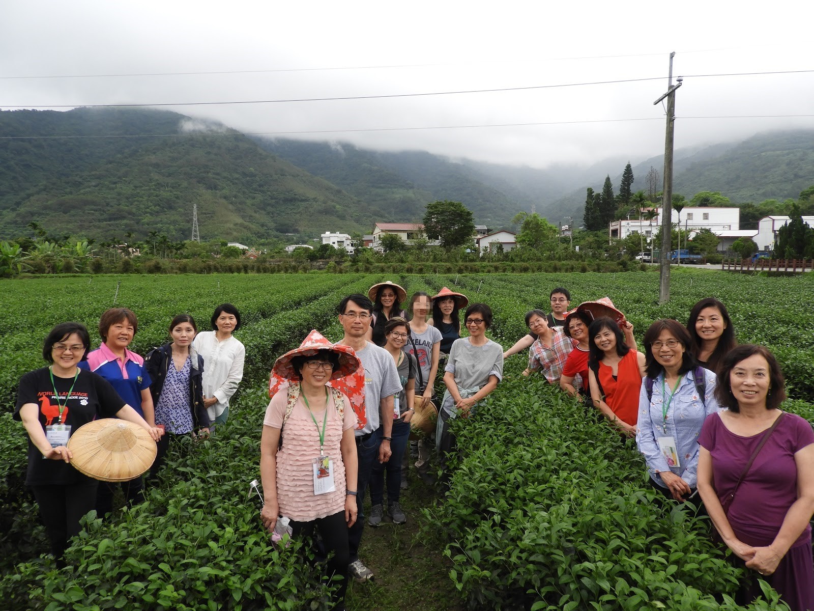 2019茶行